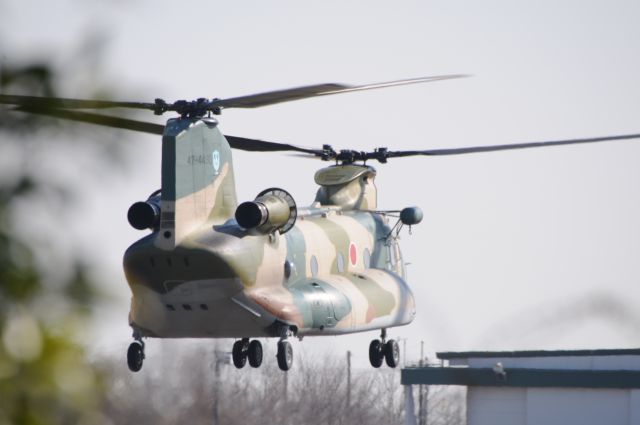 Boeing CH-47 Chinook (47-4490) - 16.Feb.2017 13:28br /CH-47J Chinook