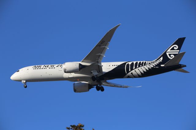 Boeing 787-9 Dreamliner (ZK-NZQ)