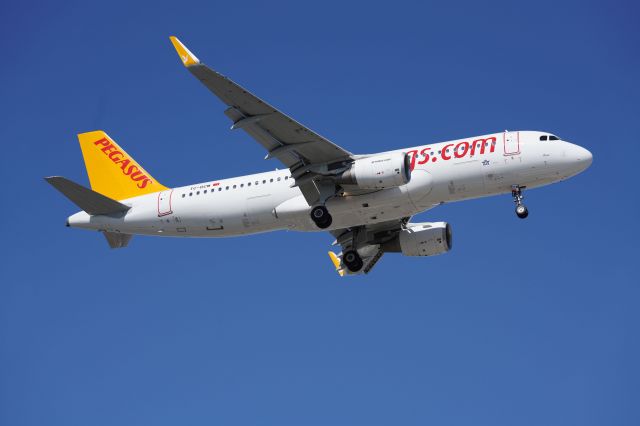 TC-DCM — - Pegasus Airlines - Airbus A320-214