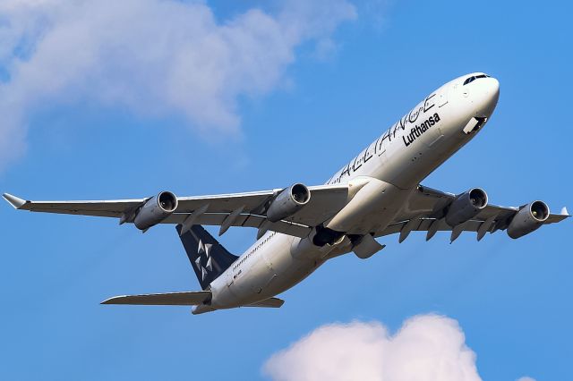 Airbus A340-300 (D-AIGV)