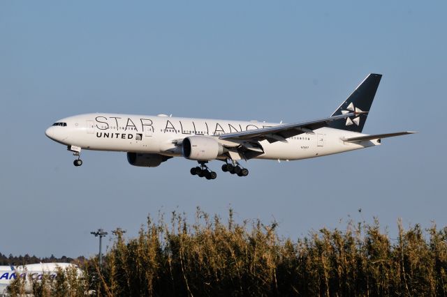 Boeing 777-200 (N78017) - 2016/2/11