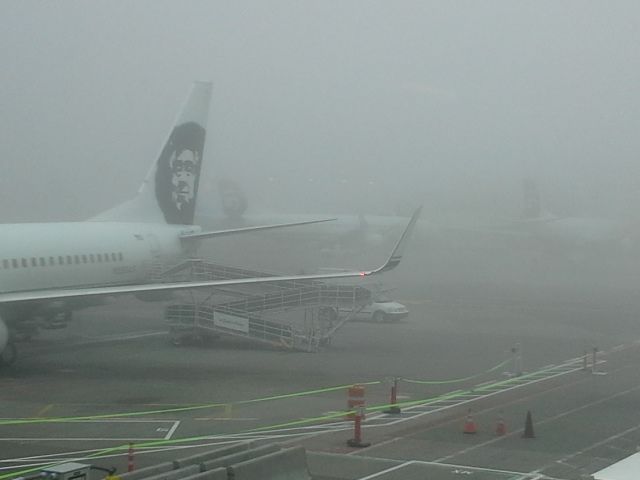 Boeing 737-700 — - Shot taken at the SeaTac Airport in Seattle on October 24, 2013 on a very foggy day.