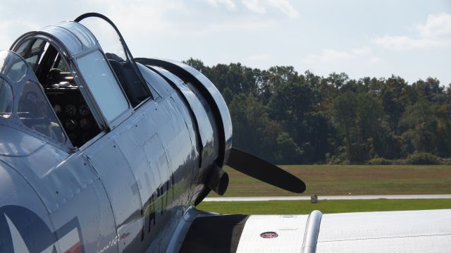 Douglas A-24 Dauntless — - The beauty basking in the sun before airshow at Chester County Airport.