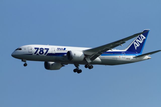 Boeing 787-8 (JA817A)