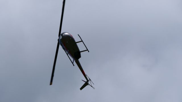 Robinson R-22 (N111VG)