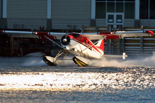 De Havilland Canada DHC-2 Mk1 Beaver —