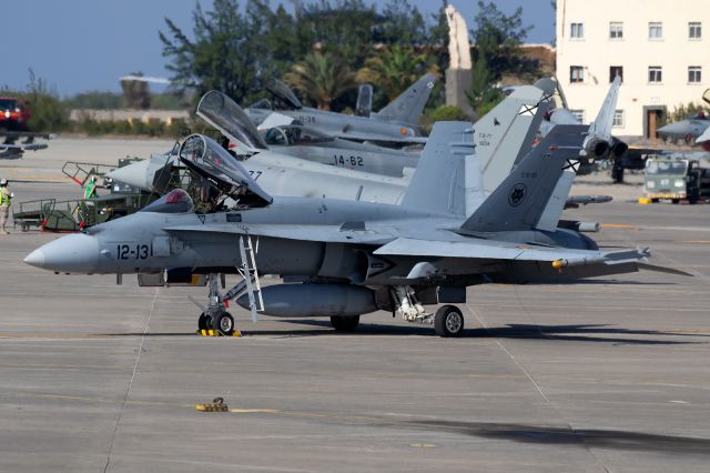 McDonnell Douglas FA-18 Hornet (C1555)