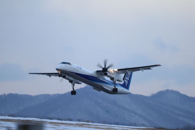 de Havilland Dash 8-400 (JA465A) - February 19th 2020:HKD-CTS.