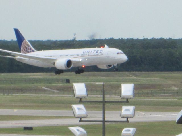 Boeing 787-8 (N20904)