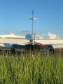 N1048D thumbnail