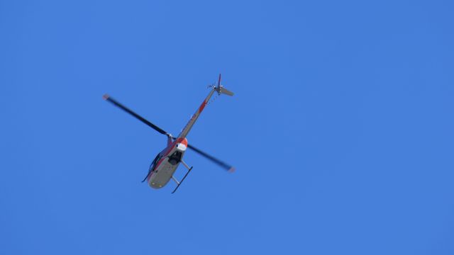 Robinson R-44 (N111VG)