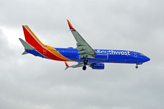 Boeing 737-800 (N8675A)