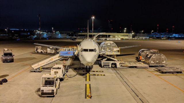 BOEING 737-400 (OE-IAQ) - Cargo ops