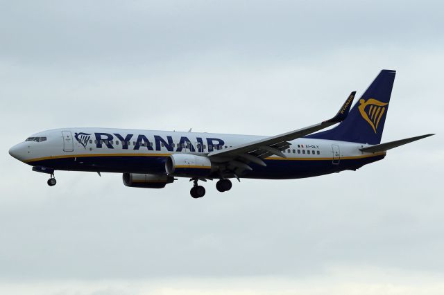 Boeing 737-800 (EI-DLY)