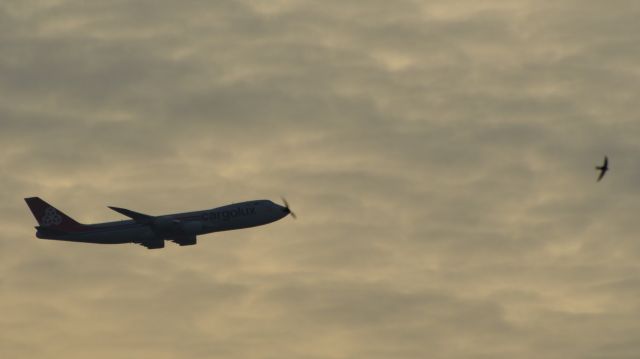 BOEING 747-8 (LX-VCJ) - B748 Neo, Birdprop.