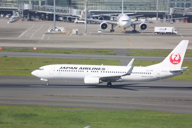 Boeing 737-800 (JA307J)