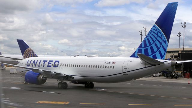 Boeing 737 MAX 8 (N17254)