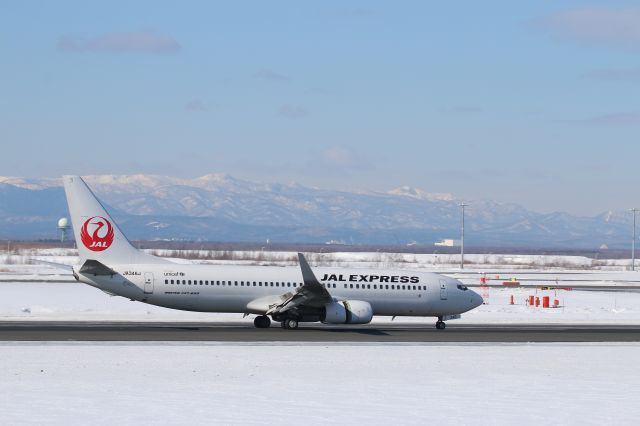 Boeing 737-800 (JA346J)