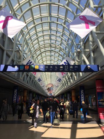 — — - 101416 beautiful late Friday morning in the AA terminal, in October (pink), after the Cubs won....