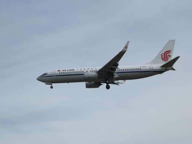 Boeing 737-800 (B-1975)