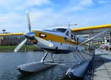 N90422 thumbnail