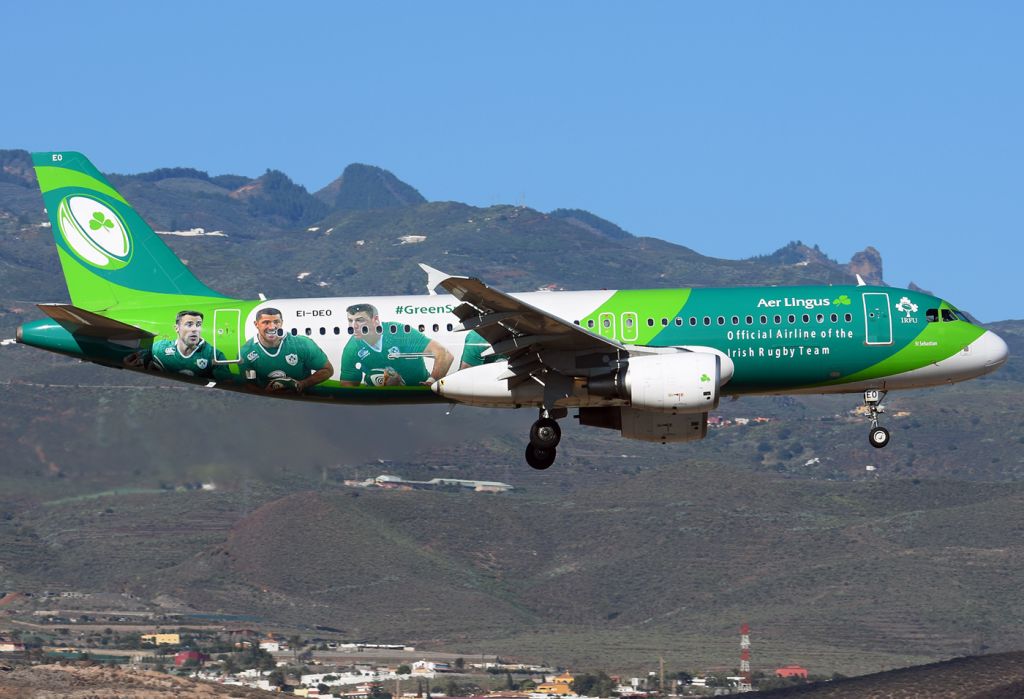 Airbus A320 (EI-DEO)