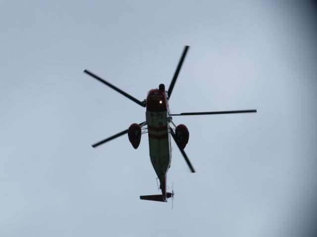 EI-GCE — - EI-GCE SIKORSKY S61N ARR BACK TO SHANNON JUNE 19-2011