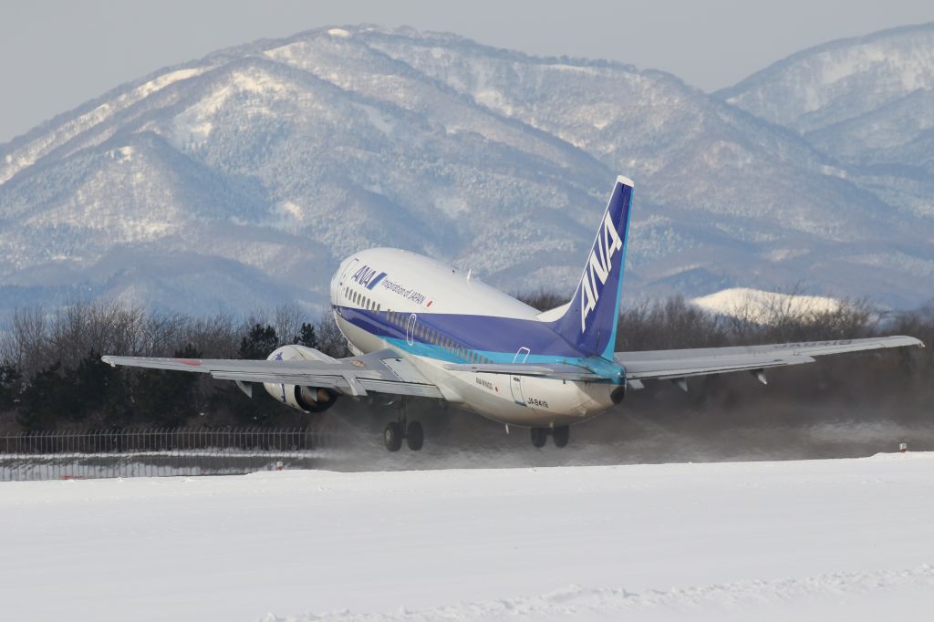 Boeing 737-500 (JA8419) - 17 January 2015:HKD-CTS.