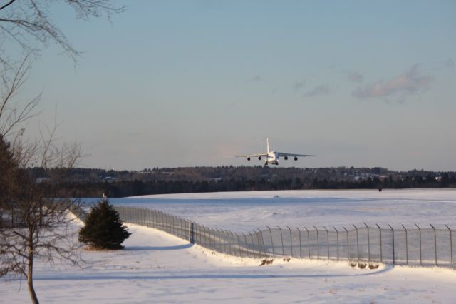 Antonov An-12 (RA-82045) - Big and Little--A Snowy Owl sits atop a fir tree alongside runway 15 at Bangor International Airport as an Antonov An-124 makes a landing.