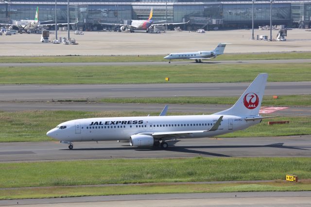 Boeing 737-800 (JA335J)