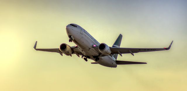 Boeing 737-700 (C-GWSO) - Taken from Creamery Rd. This bird made everything worth it that day :)