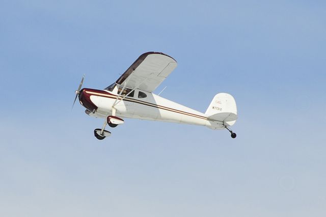 Cessna 120 (N77312) - Seen at KFDK on 2/20/2010    a href=http://discussions.flightaware.com/profile.php?mode=viewprofile&u=269247  [ concord977 profile ]/a