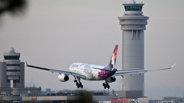 Airbus A330-300 (N382HA) - 24.Feb.2024br /Hawaiian Airlines Airbus A330-243 (N382HA)br /Landing at RWY 34L.