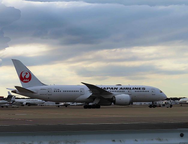 Boeing 787-8 (JA844J) - I took this picture on Nov 15, 2019.