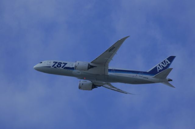 Boeing 787-8 (JA604A)