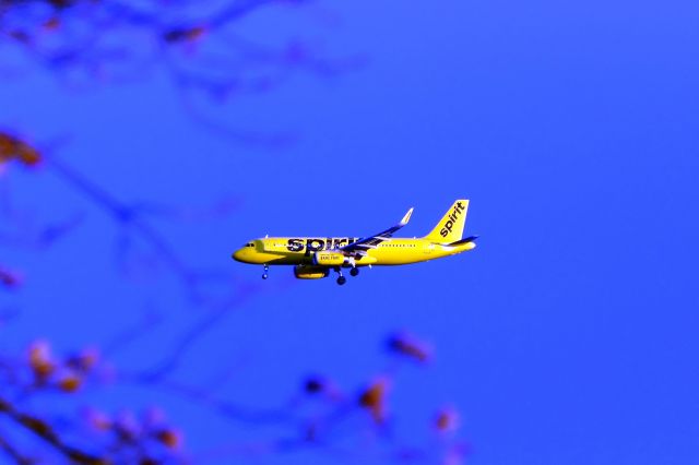 Airbus A320 (N645NK)