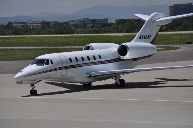 Cessna Citation X (N442WP)