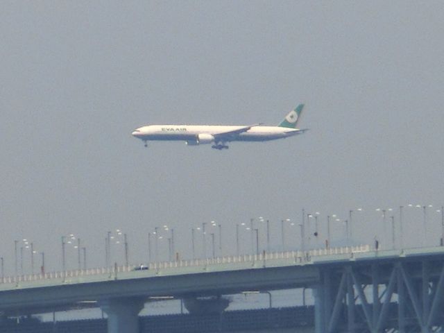 Boeing 777-200 — - 対岸から。
