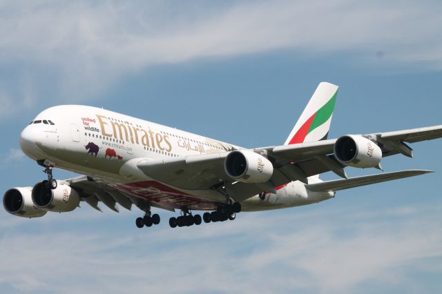 Airbus A380-800 (A6-EDG) - Taken from Myrtle Avenue beside 27L on Monday 18th of July 2016