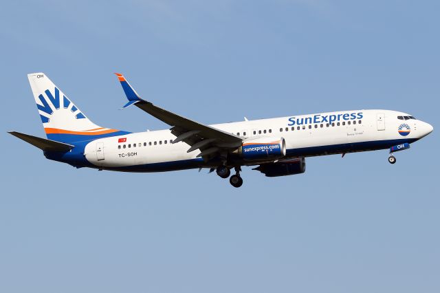 Boeing 737-800 (TC-SOH)