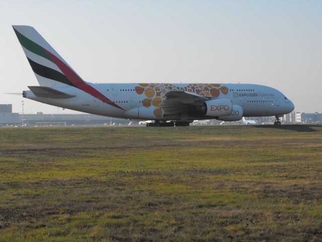 Airbus A380-800 (A6-EOU)