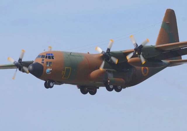 Lockheed C-130 Hercules (TJ-XCF)