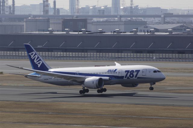 Boeing 787-8 (JA804A) - Landing at Haneda Intl Airport Rwy34L on 2012/02/24