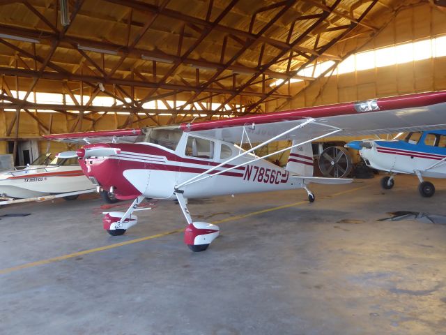 Cessna 140 (N7856C)