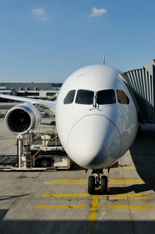 Boeing 787-9 Dreamliner (CC-BGL)