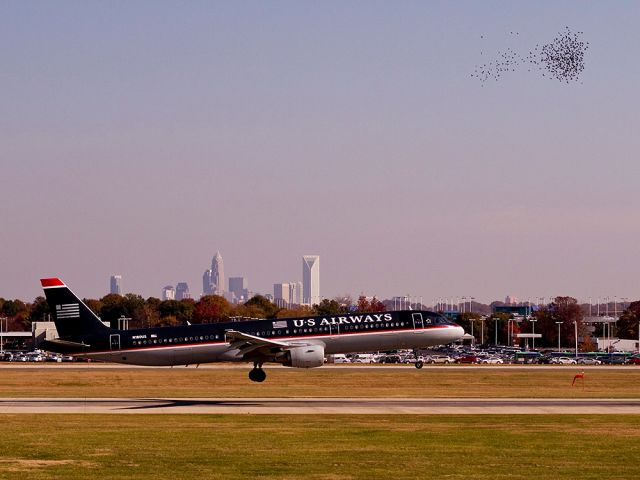 Airbus A321 (N180US) - A flock of blackbirds flew low and crossed runway 18C then zoomed for altitude just prior to this aircrafts landing in Charlotte, North Carolina USA.   21 Nov 2010