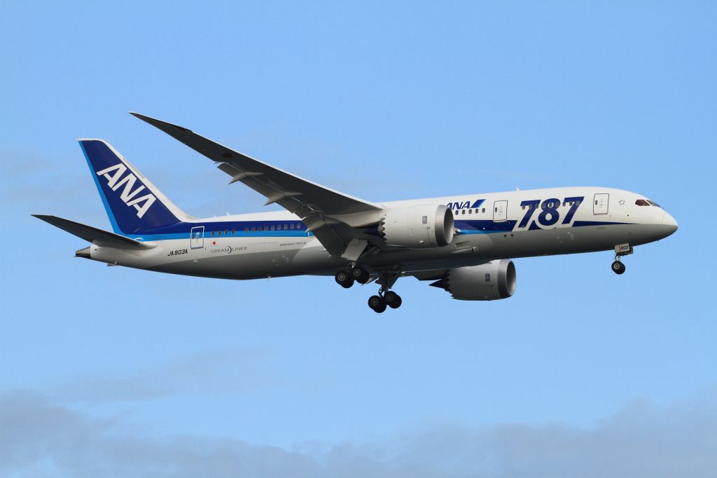Boeing 787-8 (JA803A)