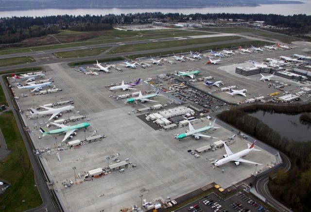 Boeing 787-8 (SP-LRC) - Boeing Everett flightline at Paine Field April 3, 2013.