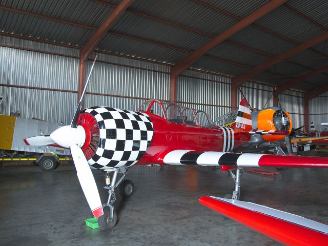 ZS-ULU — - A YAK-52 at the Rand airport, South Africa.