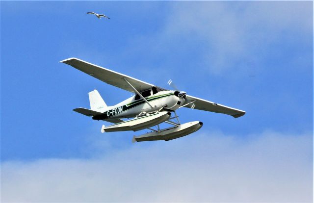 C-FOON — - C-FOON CESSNA SKYLARK 175-A survolant le fleuve St-Laurent à Lavaltrie QC.  le 04-07-2022 à 15:55